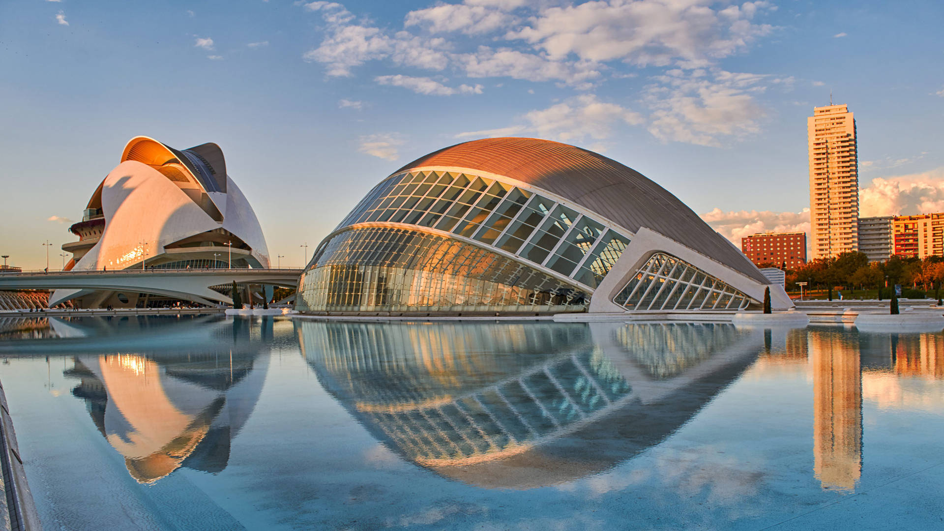 Regata Valencia Panoramic View